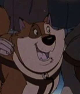 Brown Malamute - AI Character on RolePlai