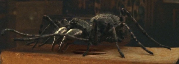Carboniferous Arachnid - AI Character on RolePlai