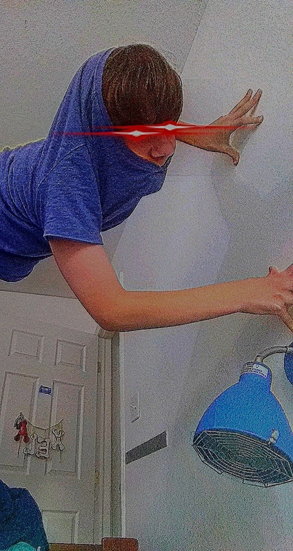 Deep Fryer Crawl - AI Character on RolePlai