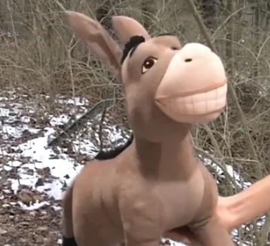 Donkey - AI Character on RolePlai
