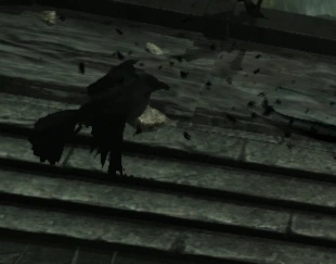 Mountain Raven - AI Character on RolePlai