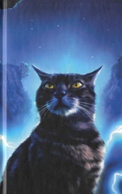 Graystripe - AI Character on RolePlai
