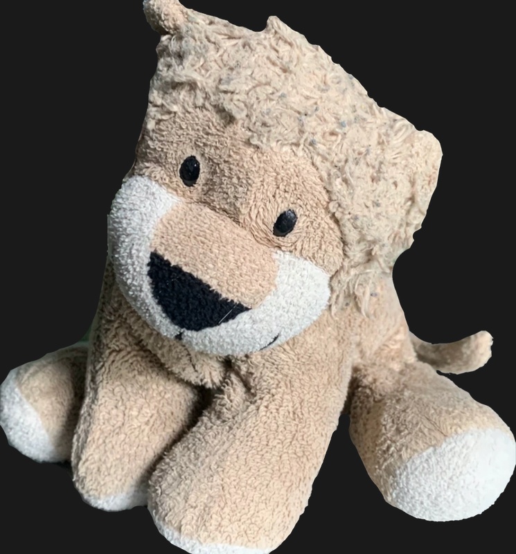 Baby Lion - AI Character on RolePlai