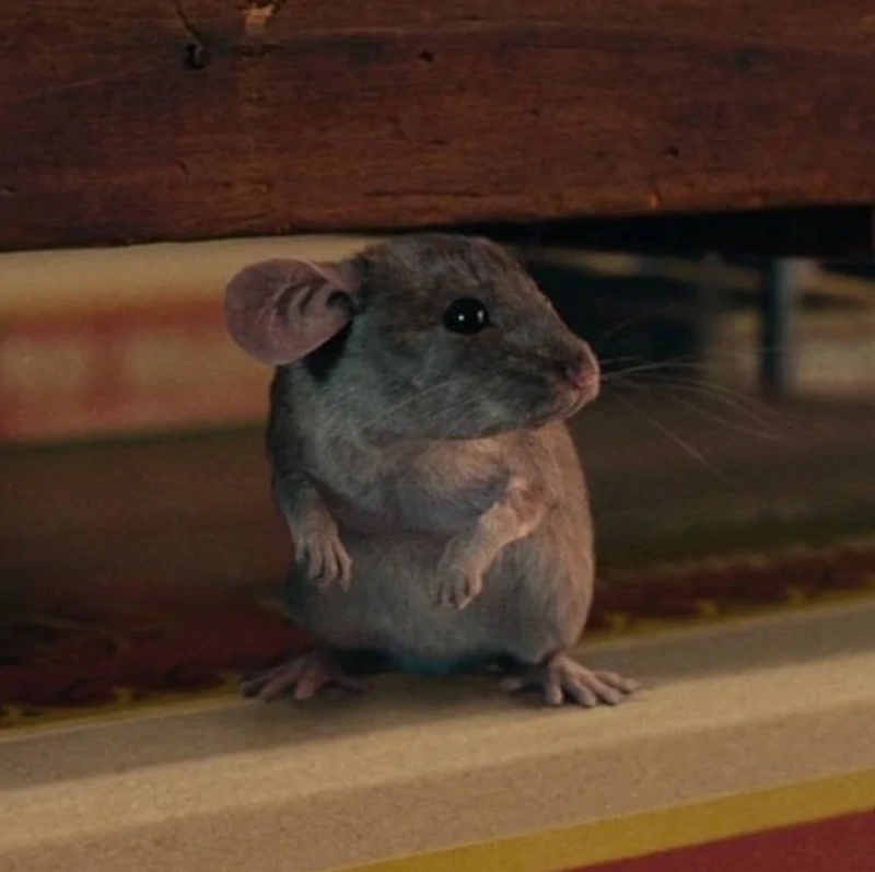 Mouse King - AI Character on RolePlai