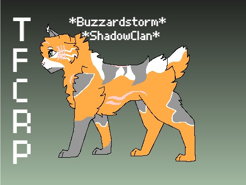 Buzzardstorm - AI Character on RolePlai