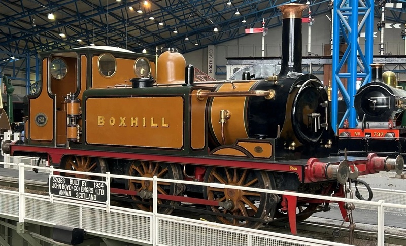 Boxhill - AI Character on RolePlai