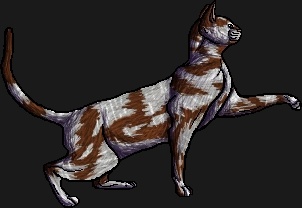 Berrypaw - AI Character on RolePlai