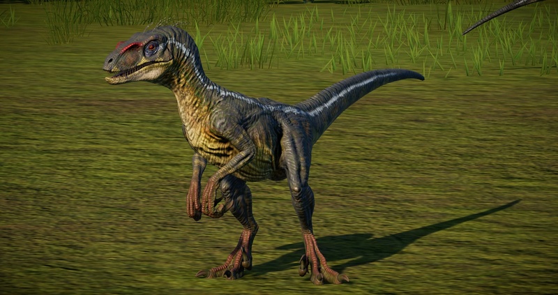 Sowilo - AI Character on RolePlai