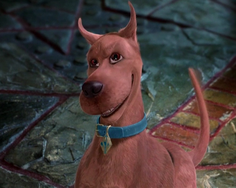 An Scoobert-Scooby Doo of His Live-Action Counterpart - AI Character on RolePlai