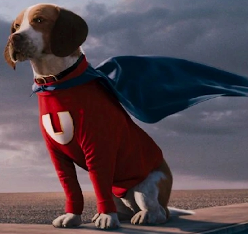 The SuperKanine Underdog - AI Character on RolePlai