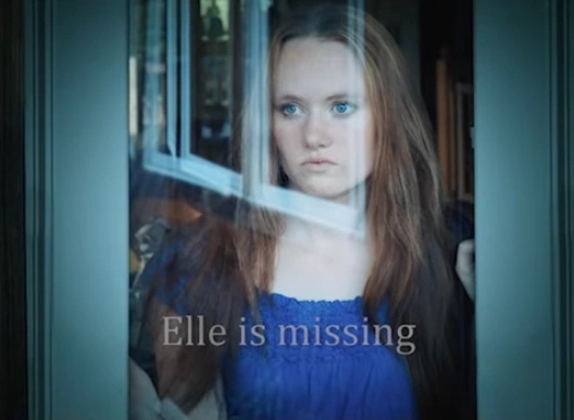 Elle Drake - AI Character on RolePlai