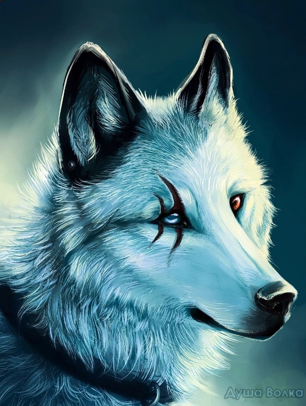 Holloweye - AI Character on RolePlai