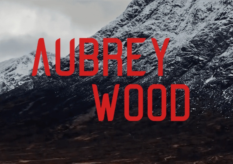 Aubrey Wood - AI Character on RolePlai