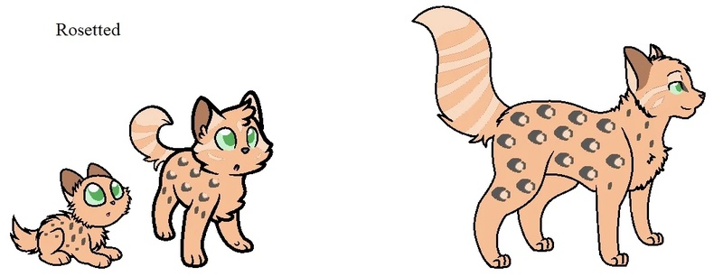 Kitten Rescue Soldiers - AI Character on RolePlai