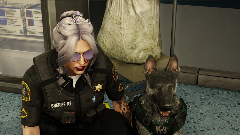 Iris Knight - AI Character on RolePlai