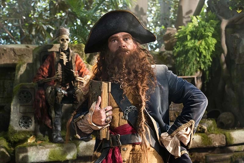 Burger Beard the Pirate - AI Character on RolePlai