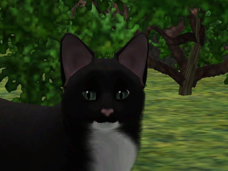 Dewwhisker - AI Character on RolePlai