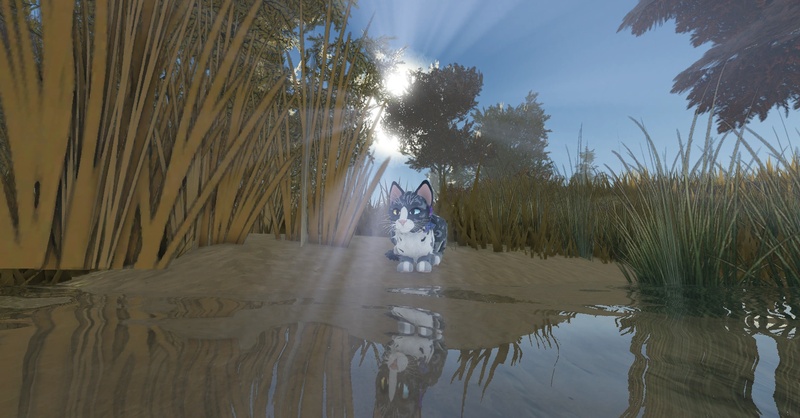 Midnightshade - AI Character on RolePlai