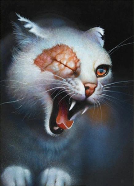 Brightheart - AI Character on RolePlai