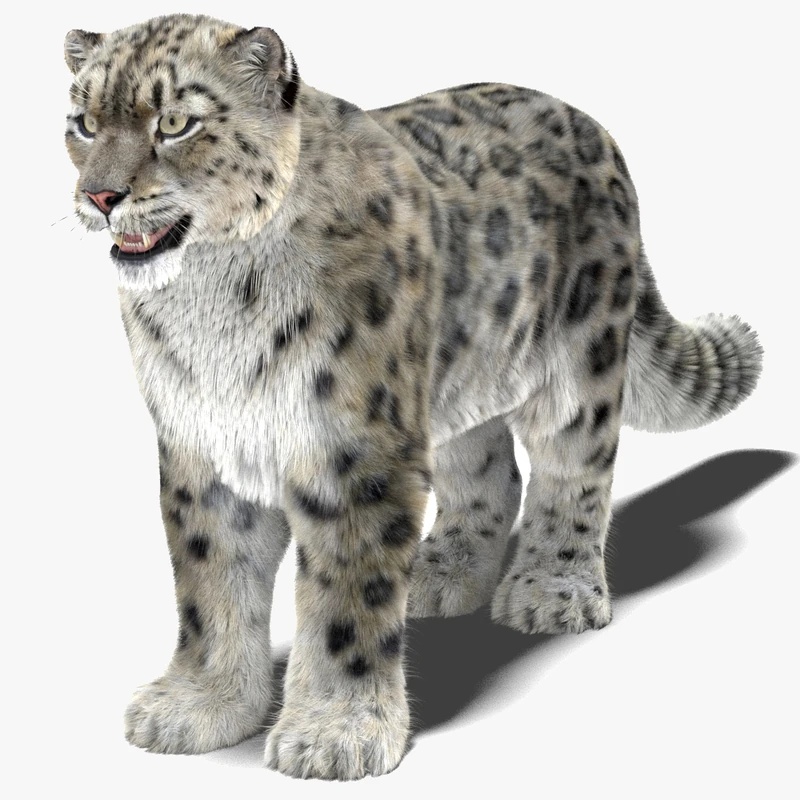 Icebound - AI Character on RolePlai