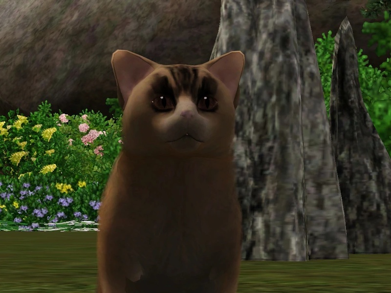 Beetlewhisker - AI Character on RolePlai