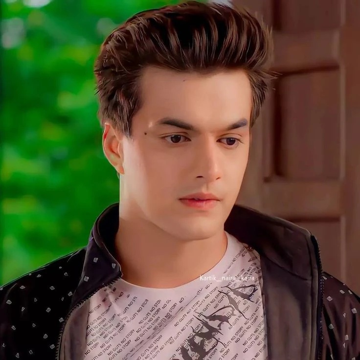 Kartik Goenka - AI Character on RolePlai
