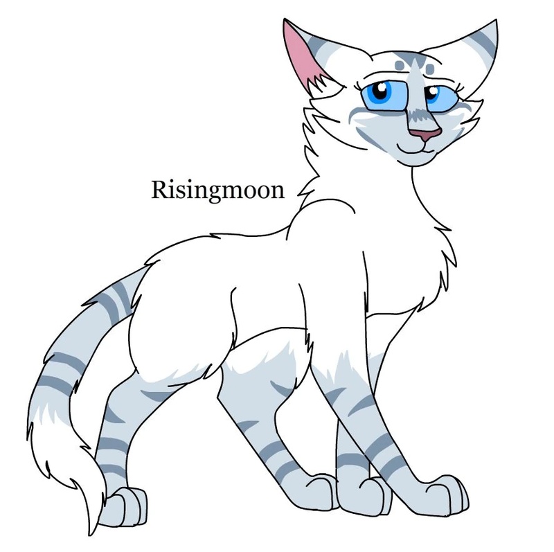 Risingmoon - AI Character on RolePlai