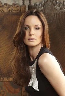 Sarah Wayne Callies - AI Character on RolePlai