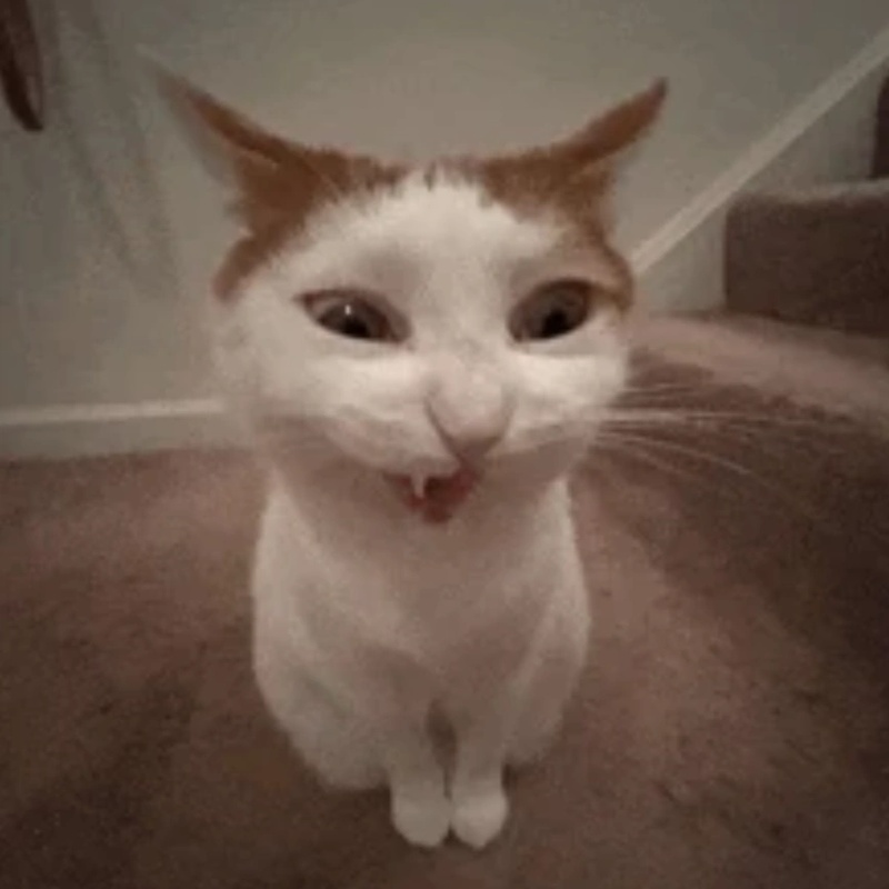 Shoob - AI Character on RolePlai