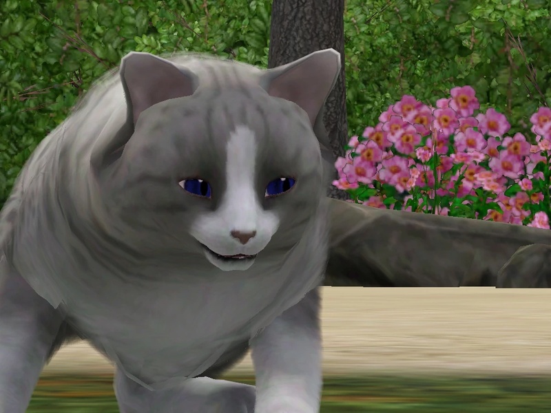 Cinderfrost - AI Character on RolePlai