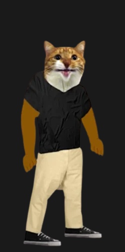 Mylo the Cat - AI Character on RolePlai