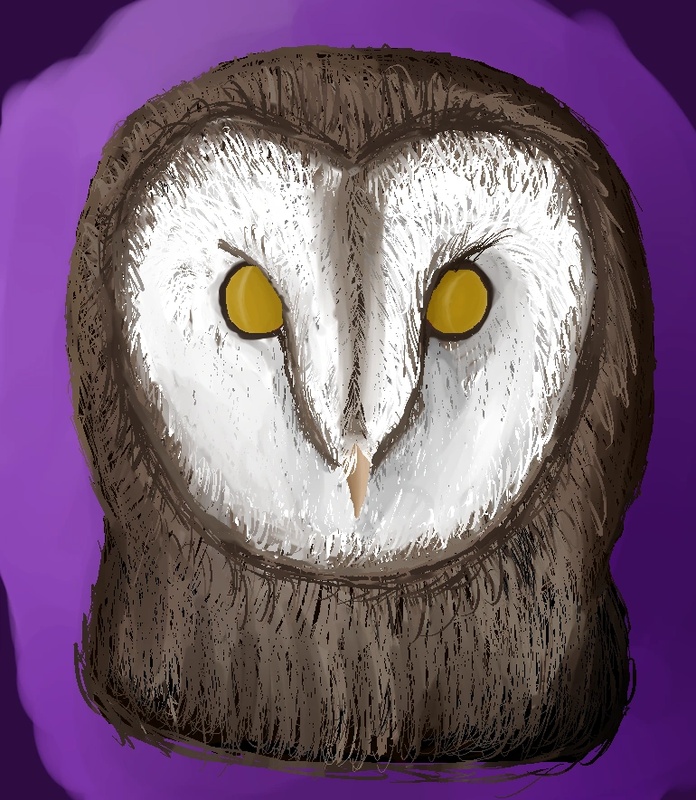 Arcci Windclaw - AI Character on RolePlai