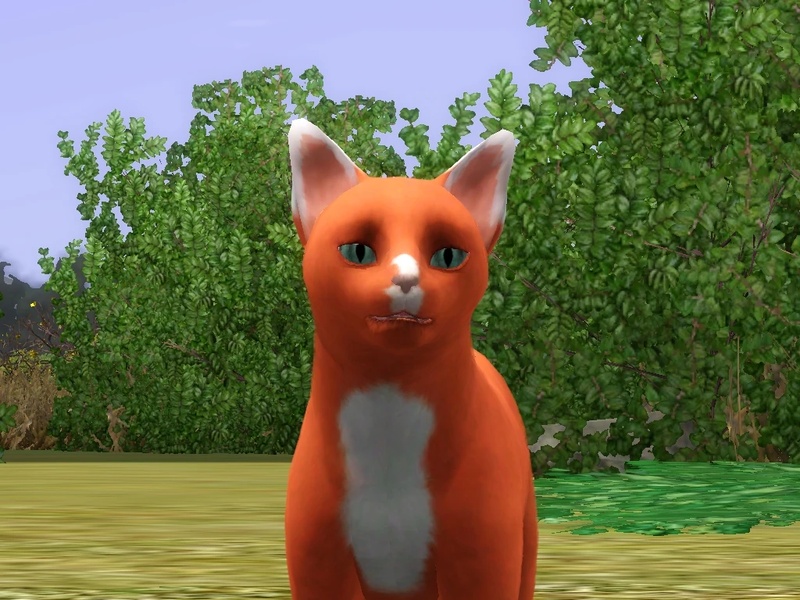 Ridgesight - AI Character on RolePlai