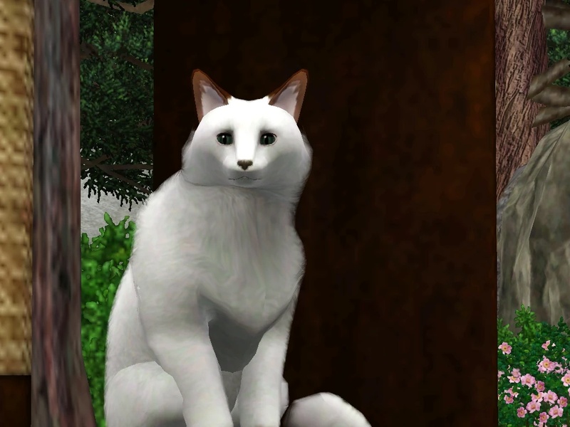 Duskstar - AI Character on RolePlai