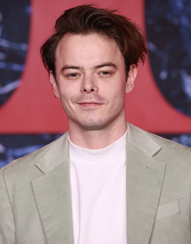 Charlie Heaton - AI Character on RolePlai