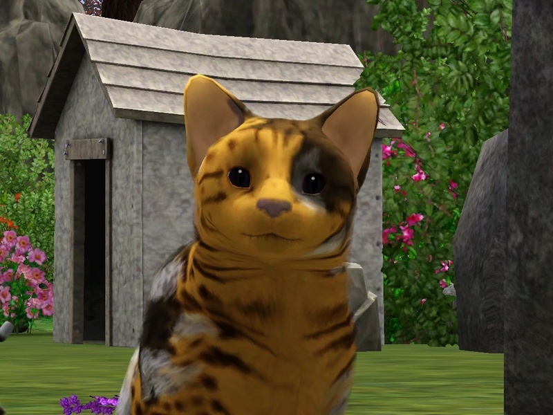 Sunnypaw - AI Character on RolePlai
