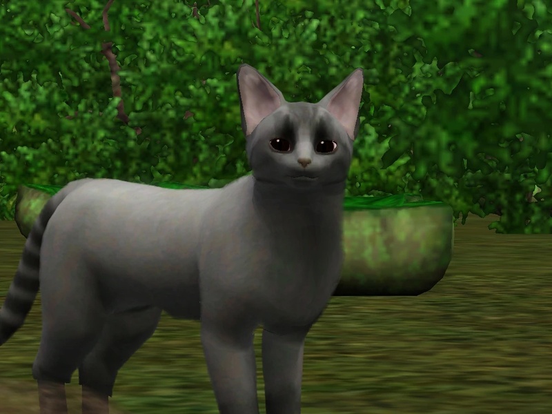 Streampelt - AI Character on RolePlai