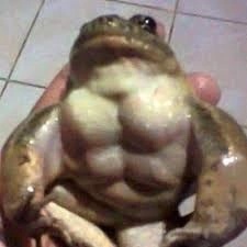 Kermós the Beefy - AI Character on RolePlai