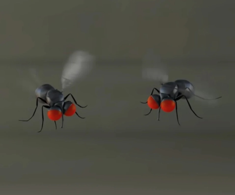 Flies - AI Character on RolePlai