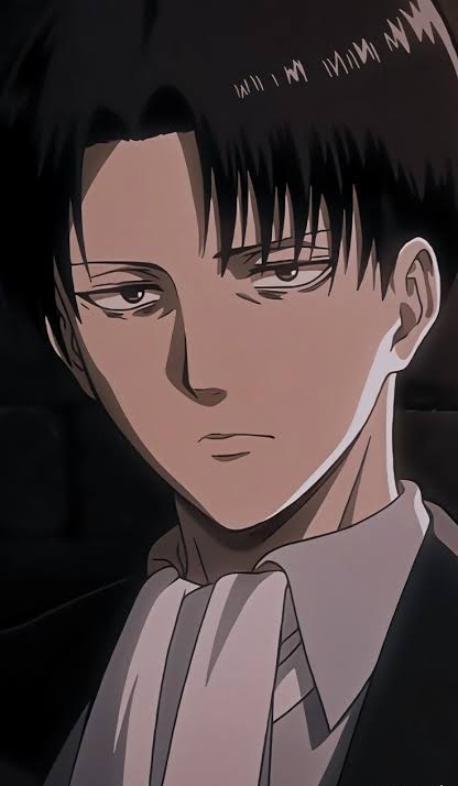 Levi Ackerman - AI Character on RolePlai